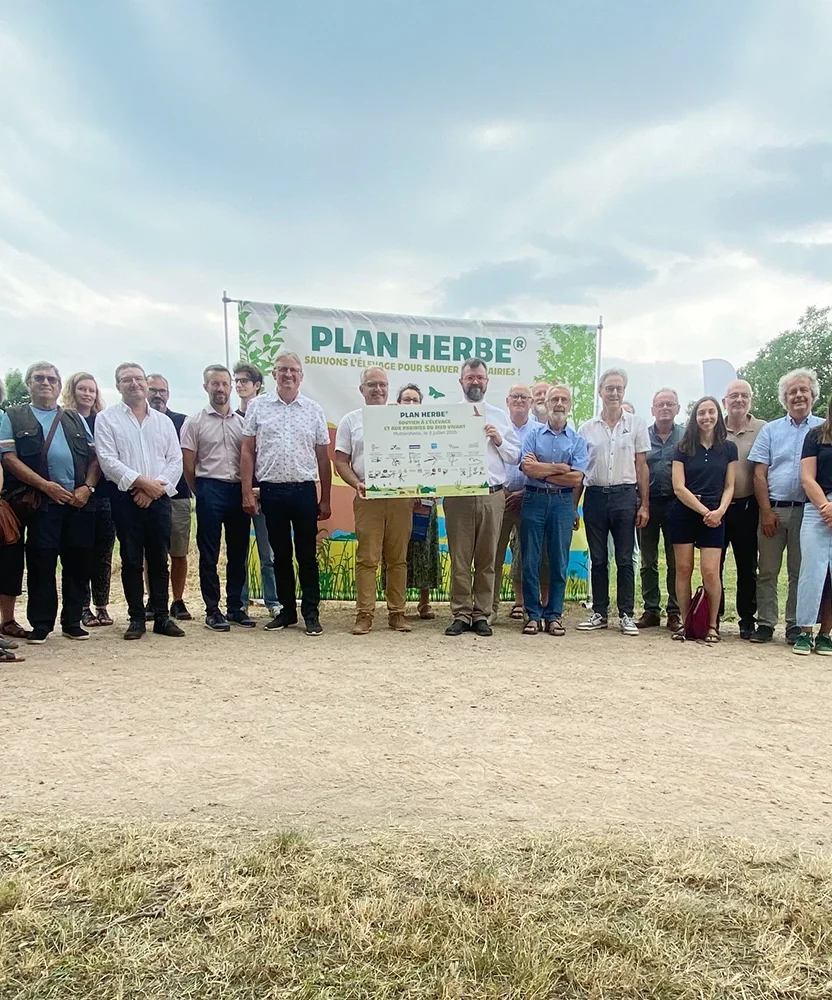Plan herbe